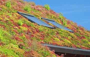 Hazel Street living roof systems